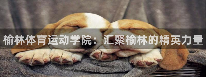 凯发官方正版app开户：榆林体育运动学院：汇聚榆林的
