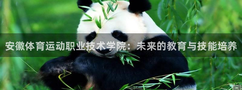 凯发官方正版app集团E.ON：安徽体育运动职业技术