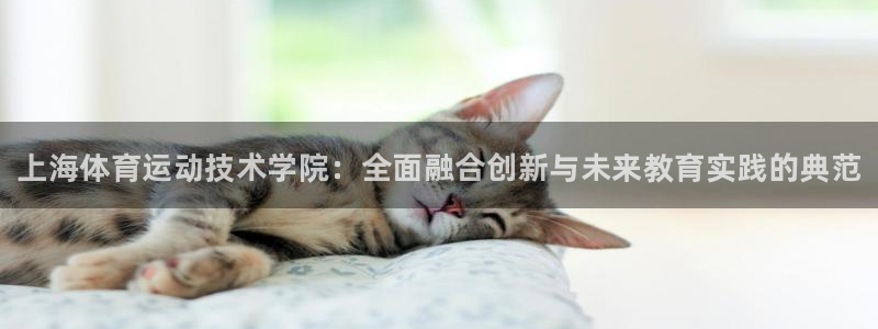 凯发官方正版app代理：上海体育运动技术学院：全面融