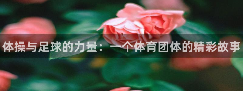 凯发官方平台体育：体操与足球的力量：一个体育团体的精