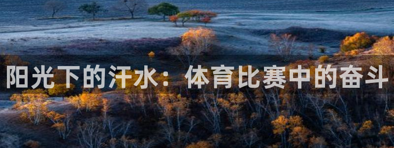 凯发官网下载招商电话是多少啊：阳光下的汗水：体育比赛