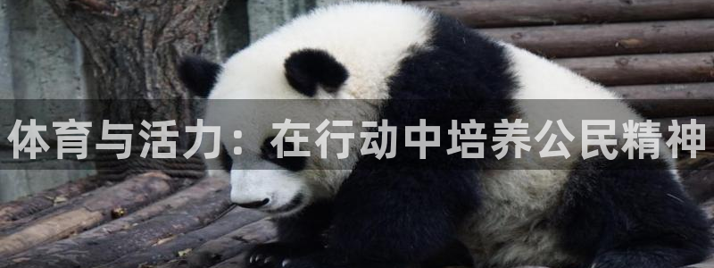 凯发官网下载平台是正规平台吗：体育与活力：在行动中培