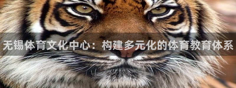 凯发官方正版app集团：无锡体育文化中心：构建多元化