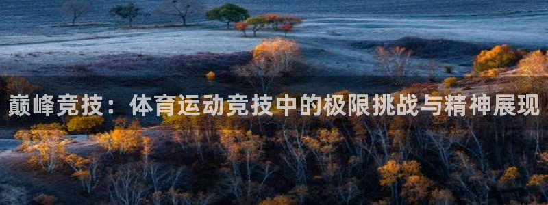 凯发官网下载平台假的吗是真的吗：巅峰竞技：体育运动竞