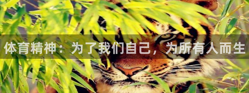 凯发官方正版app娱乐首页网站大全：体育精神：为了我