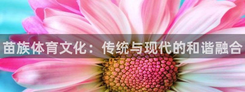 凯发官网下载平台：苗族体育文化：传统与现代的和谐融合