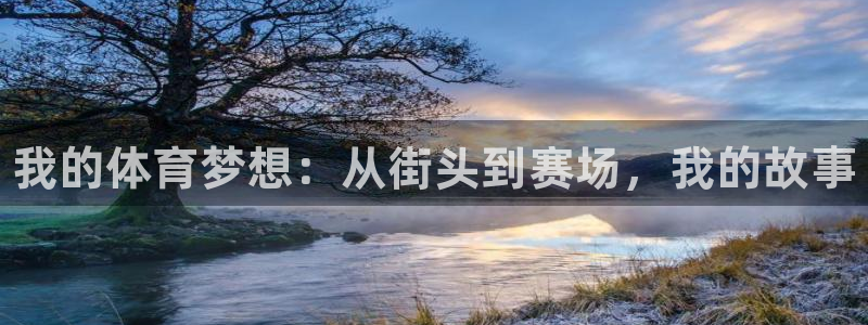 凯发官网下载平台注册要钱吗安全吗：我的体育梦想：从街