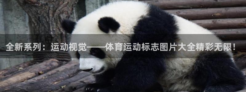 凯发官方平台体育：全新系列：运动视觉——体育运动标志