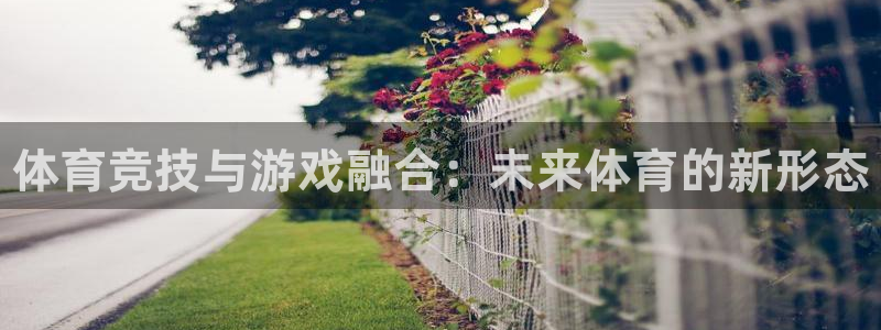 凯发官网下载招商：体育竞技与游戏融合：未来体育的新形