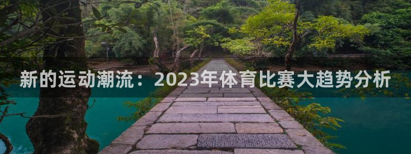 凯发官方正版app集团logo：新的运动潮流：202