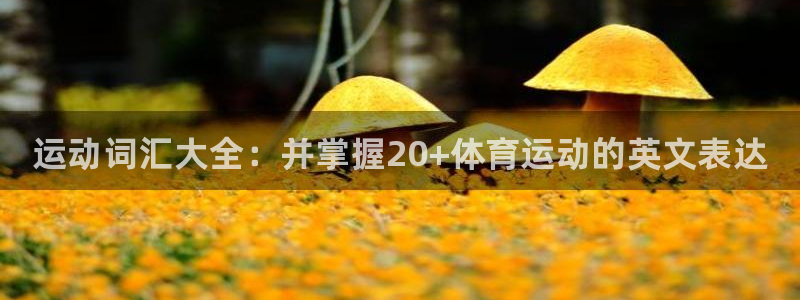 凯发官网下载招商电话号码