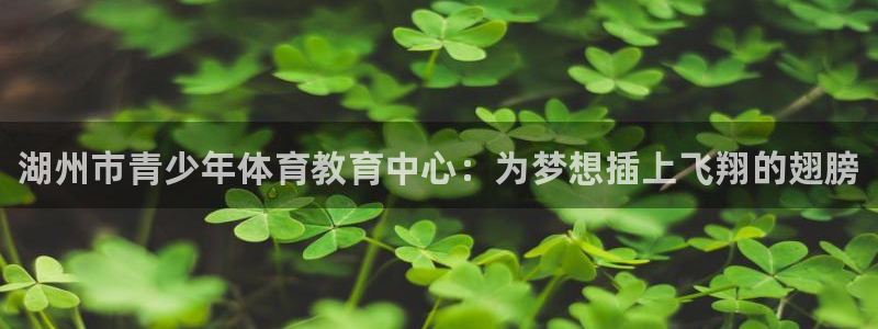 凯发官网下载注册：湖州市青少年体育教育中心：为梦想插上飞翔的