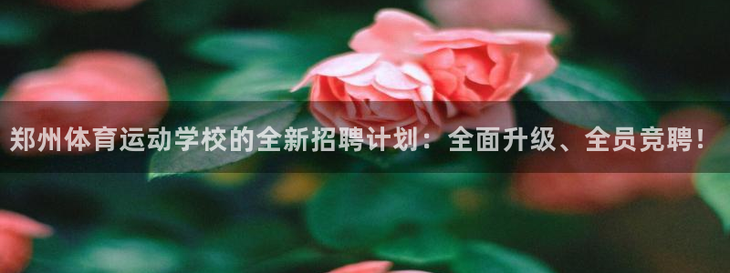 凯发官网下载是干嘛的公司：郑州体育运动学校的全新招聘计划：全