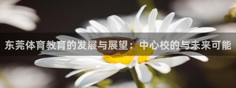 凯发官方正版app集团简介：东莞体育教育的发展与展望：中心校