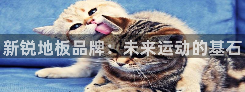 凯发官网下载注册：新锐地板品牌：未来运动的基石