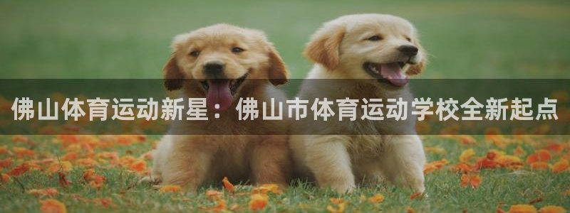 注册凯发官方正版app：佛山体育运动新星：佛山市体育