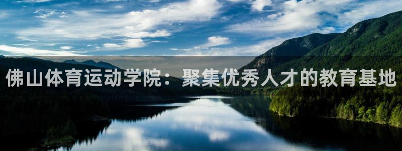 凯发官方正版app新能源