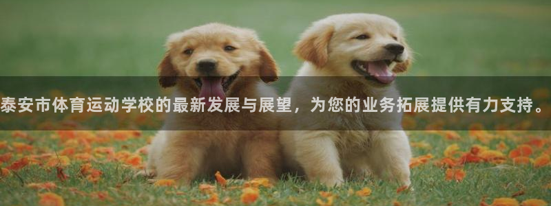 凯发官网下载招商电话号码是多少啊：泰安市体育运动学校的最新发