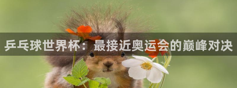 山猫免费直播nba