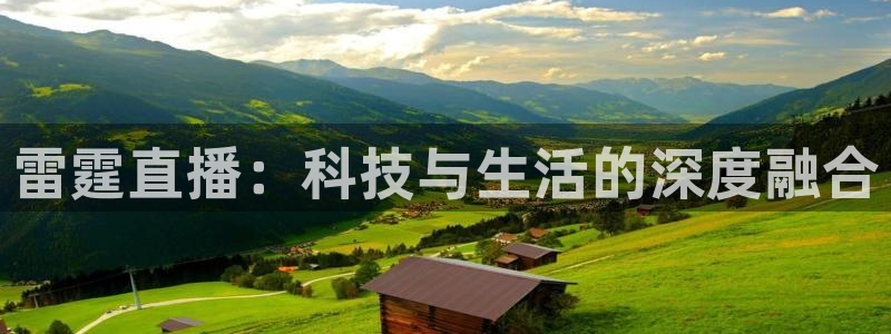 山猫体育