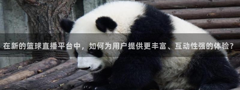 山猫体育足球比赛直播五大