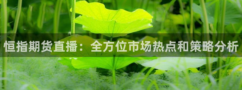 山猫直播足球免费：恒指期货直播：全方位市场热点和策略分析