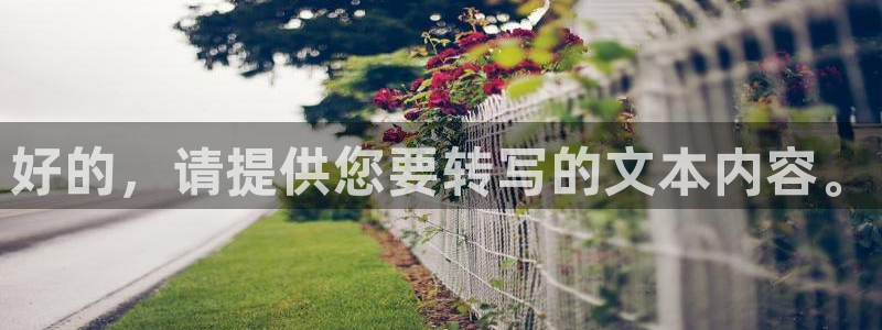 山猫体育直播jrs：好的，请提供您要转写的文本内容。