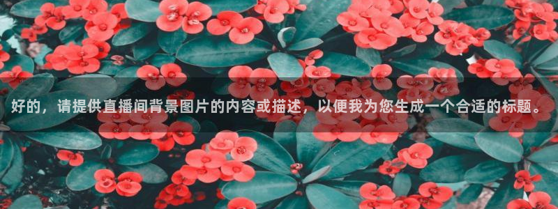 山猫体育直播官网