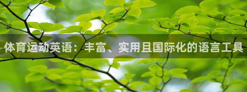 凯发app网站ios版：体育运动英语