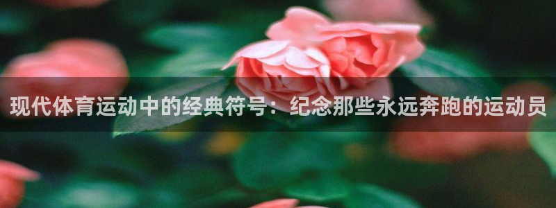 k8凯发app官网：现代体育运动中的