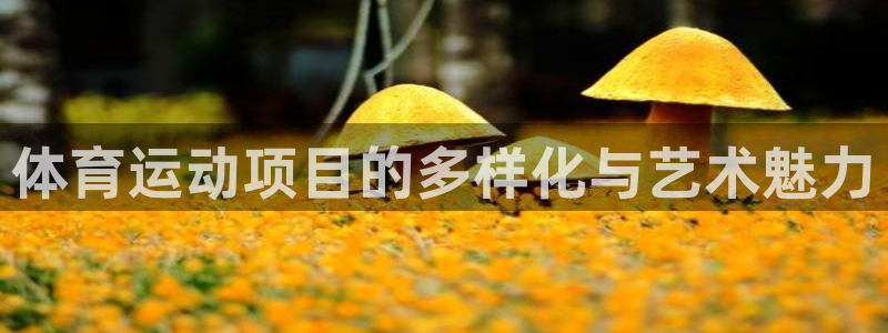 ks8凯发app免费下载：体育运动项