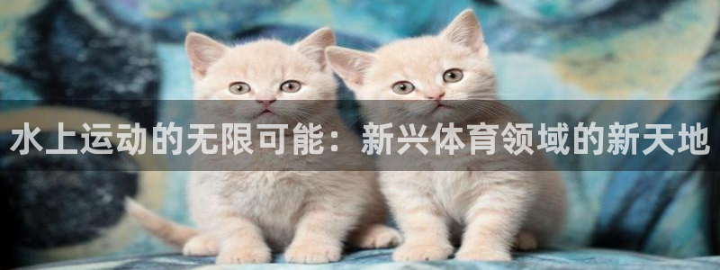 凯发电游ks8手机版app：水上运动