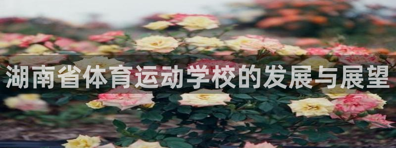 凯发官网下载招商电话地址查询：湖南省体育运动学校的发展与展望