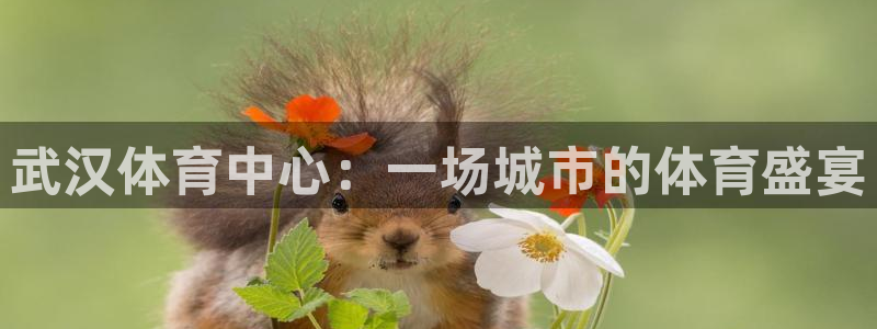 凯发官网下载招商电话号码：武汉体育中心：一场城市的体育盛宴