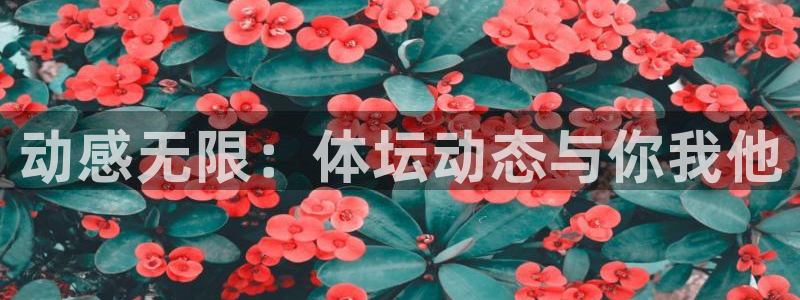 凯发官方集团官网：动感无限：体坛动态与你我他