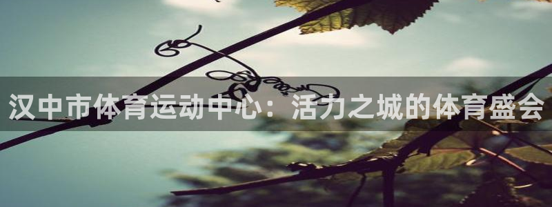 凯发官网下载是干嘛的公司：汉中市体育运动中心：活力之城的体育