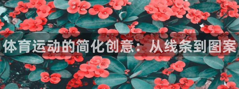 凯发官方正版app官方:体育运动的简化创意:从线条到图案