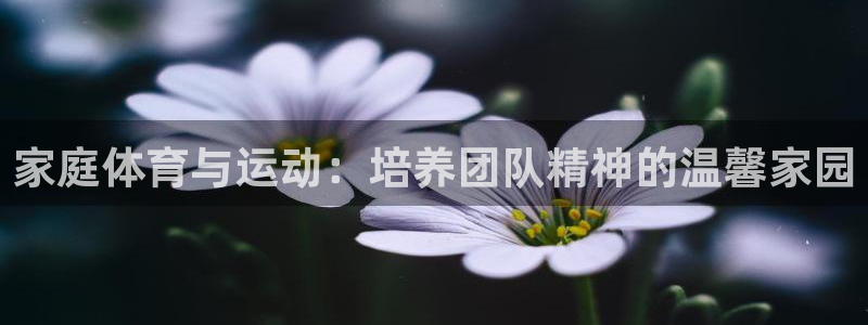 凯发官网下载平台注册:家庭体育与运动:培养团队精神的温馨家园