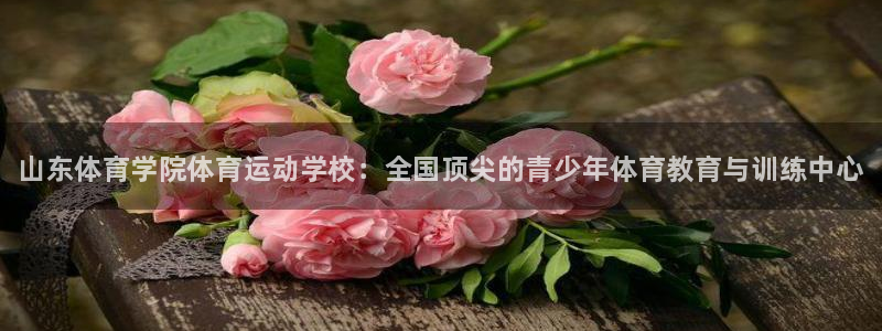 凯发官网下载招商电话:山东体育学院体育运动学校:全国顶尖的青