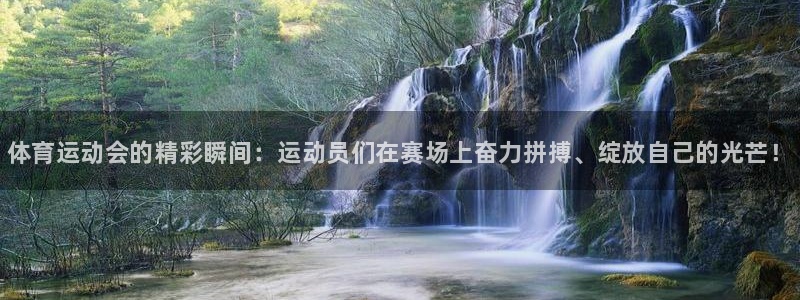 凯发官方正版app娱乐40996:体育运动会的精彩瞬间:运动