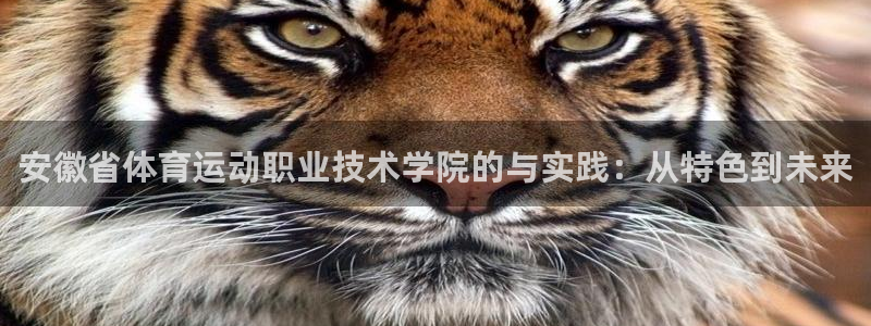凯发官网下载招商电话号码是多少:安徽省体育运动职业技术学院的
