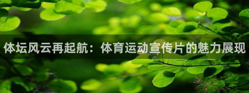 注册凯发官方正版app:体坛风云再起航:体育运动宣传片的魅力