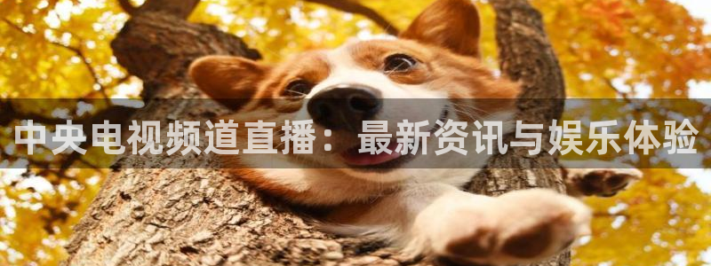 山猫体育免费直播最新：中央电视频道直播：最新资讯与娱乐体验