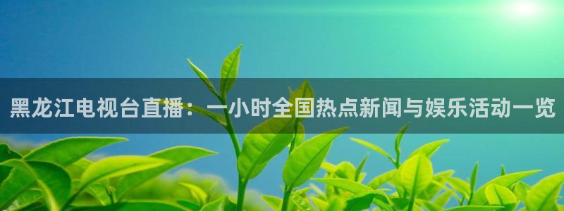 篮球直播山猫：黑龙江电视台直播：一小时全国热点新闻与娱乐活动一览