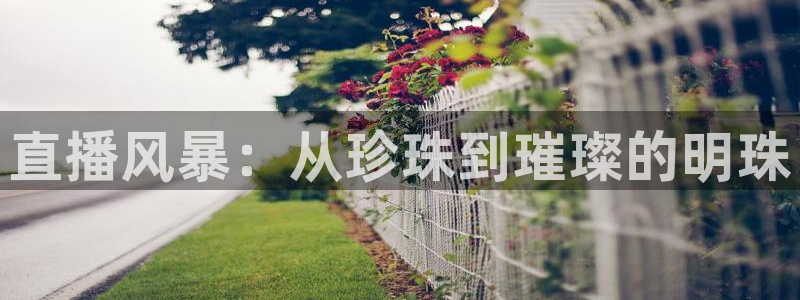 山猫体育在线观看：直播风暴：从珍珠到璀璨的明珠
